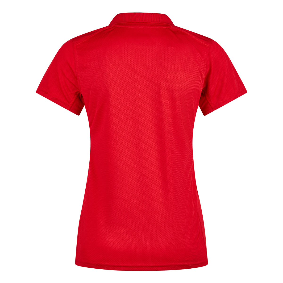 MTV Trikot Senior