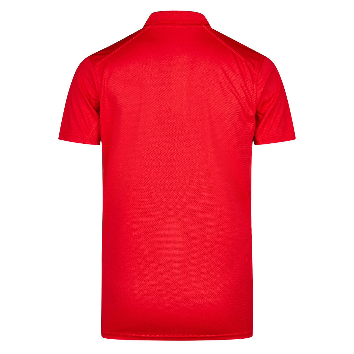MTV Trikot Senior