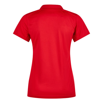 MTV Trikot Senior