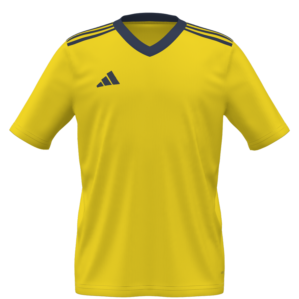 BTSV Trikot Junior